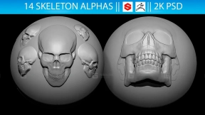 14个骷髅头Alphas笔刷 Vol.2  14 Skeleton Alphas Vol.2 (ZBrush, Substance, 2K)