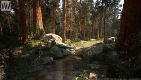 【UE】MW红杉林树木生物群落  MW Redwood Forest Trees Biome