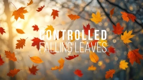 【UE】落叶系统项目专用可控树叶效果  Falling Leaves System Controlled leaves for your Unreal engine project