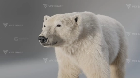 北极熊模型 Polar Bear Rigged