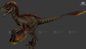 Feathered Raptor - 羽暴龙