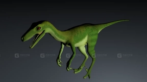 Coelophysis - 腔骨龙