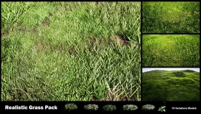 【UE】真实草地资源包 01  Realistic Grass Pack 01