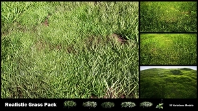 【UE】真实草地资源包 01  Realistic Grass Pack 01