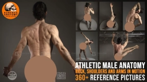 360+ 运动男性解剖结构 - 背部、肩部和手臂动态  360+ Athletic Male Anatomy- Back, Shoulders and Arms in Motion