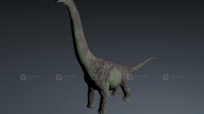 Giraffatitan - 长颈鹿泰坦龙