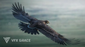 老鹰模型 Aquila Nipalensis Animation Rigged
