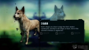 丁戈-Dingo 3D model-26-0