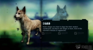 丁戈-Dingo 3D model-26-0