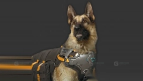 牧羊人 Shepherd 1