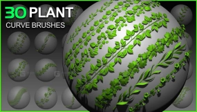 30个曲线植物笔刷 30 Plant Curve Brushes