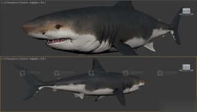 鲨卷风 Sharknado 28