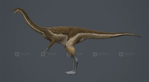 似鸡龙 1 Gallimimus 1