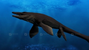 沧龙 Tylosaurus 0