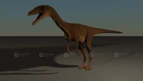腔骨龙 Coelophysis 0