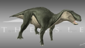 Maiasaura - 慈母龙