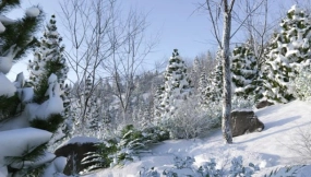 冬季带雪树木3D模型 Svaeren Winter Pack