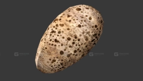 死爪蛋-Deadclaw Egg 3D model-11-0