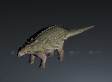 Nodosaurus - 结节龙