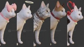 猫科动物 Cats pack 8