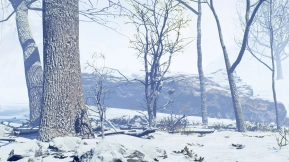 【UE】冬季森林场景套装  Winter Forest Set