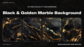 10张黑金大理石10 Black & Golden Marble Background Texture
