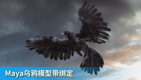 Maya绑定好的乌鸦模型 TurboSquid – DisneyTD – Crow Fur Anatomy