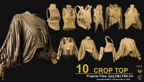 10件女式性感露脐装短款花边上衣模型 10 CROP TOP VOL 5