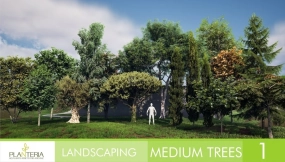 【UE】中型树木景观vol1  Landscaping Medium Trees Vol.1