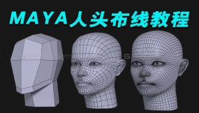 【MAYA人头建模】人物五官布线详细建模教程，100%成功角色头部布线方法（眼睛，鼻子，嘴巴，耳朵MAYA零基础五官布线建模教学）
