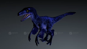 Microraptor - 小盗龙