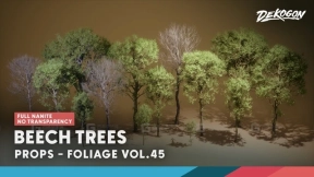 【UE】植被系列第45卷 - 山毛榉树（纳米技术 - 无透明效果）  Foliage VOL.45 - Beech Trees (Nanite - NO TRANSPARENCY)