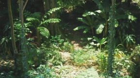 【UE】雨林资源包  Rain Forest Pack