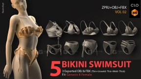 5+情趣性感比基尼泳装内衣内裤丁字裤  5 BIKINI SWIMSUIT PACK (VOL.02)