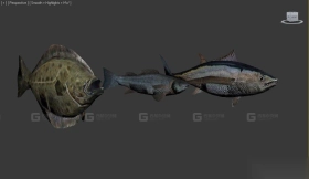 鱼 Fish 29