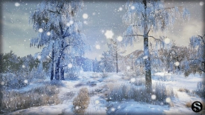 【UE】冬日自然  Winter Nature
