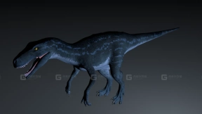 Nanotyrannus - 矮暴龙