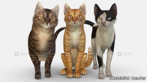 【UE】猫咪包  Cats Pack