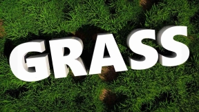 12个高质量草模型 Grass Glorious Grass