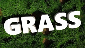 12个高质量草模型 Grass Glorious Grass