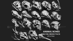 动物骨骼合集 IMM Stl Obj 笔刷包 21合1 第一卷 - Animal Bones Collection IMM Stl Obj Brush Pack 21 in One Vol