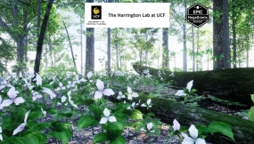【UE】美国东北部植物与生态系统35 AR VR Northeastern US Plants and Ecosystems