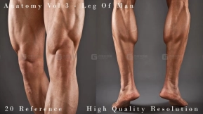 20张男性肌肉腿参考图片  Leg_Details_Vol_3