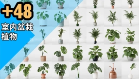 【模型】48个高质量室内盆栽植物3D模型 3DCollective – Interior Plants Pack 01