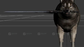 大狼西芙-Sif the Great Wolf 3D model-30-0