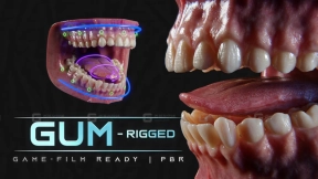 超写实牙龈 8K PBR材质 Ultra-Realistic Gum - 8K Pbr