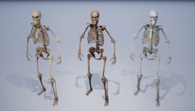 人类骨骼残骸骷髅骨架模型 Lowpoly PBR Human Skeleton Remains