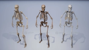 人类骨骼残骸骷髅骨架模型 Lowpoly PBR Human Skeleton Remains