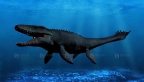 Mosasaurus - 沧龙