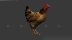 GTA中的母鸡 Hen from gta5 9
